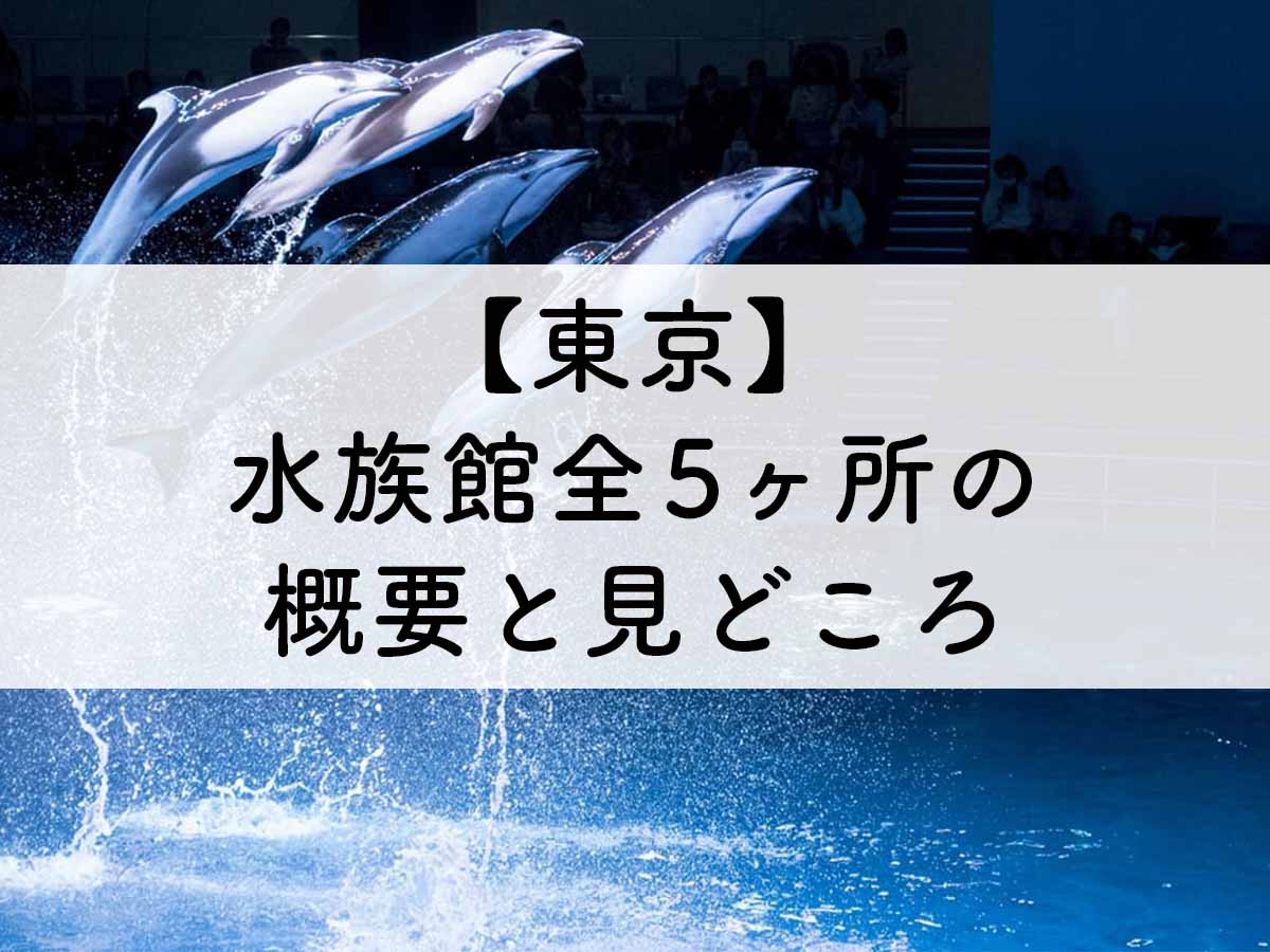 【東京】水族館の概要と見どころまとめ（全5ヶ所）