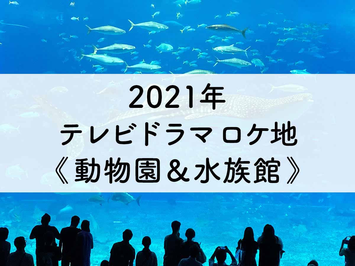 【2021年】テレビドラマ ロケ地《動物園＆水族館》