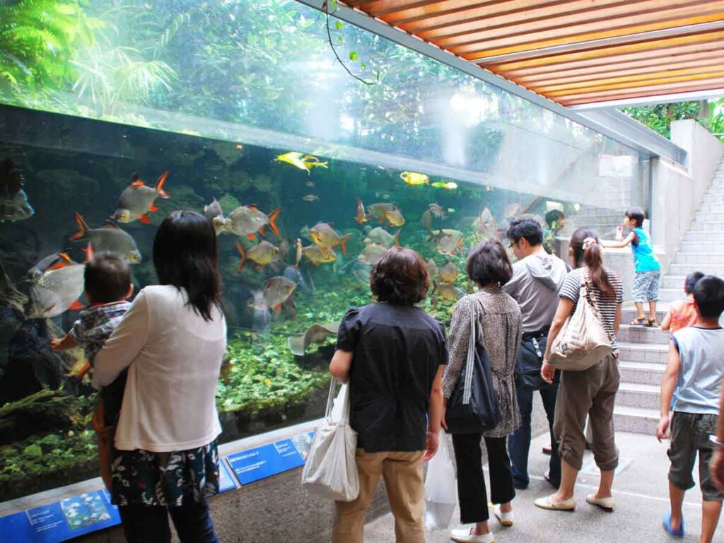 板橋区立熱帯環境植物館 ミニ水族館
