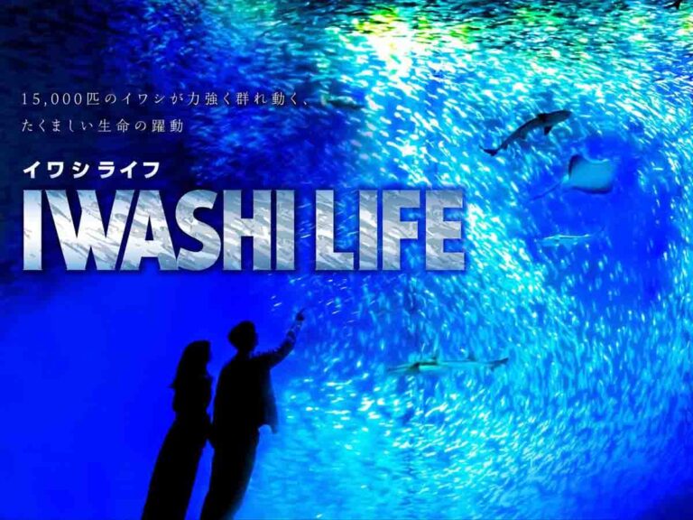 IWASHI LIFE イワシライフ（アクアワールド茨城県大洗水族館）