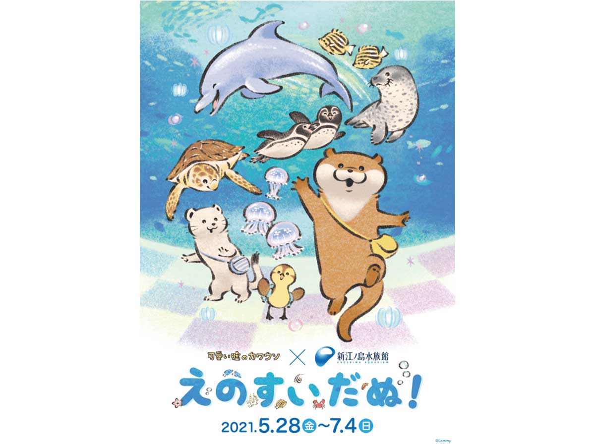 ★海のかわうそページ★ 可愛い嘘のカワウソ」× 新江ノ島水族館『えのすいだぬ！』開催 - 動物