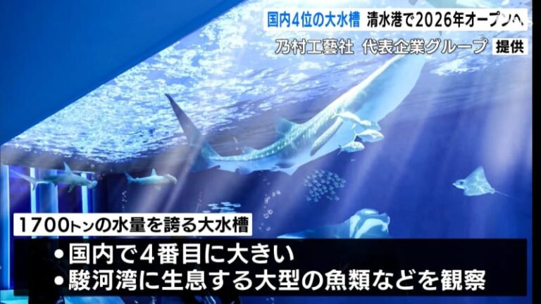 日本4位の大水槽が目玉“清水港の水族館”が2026年オープンへ=静岡県静岡市