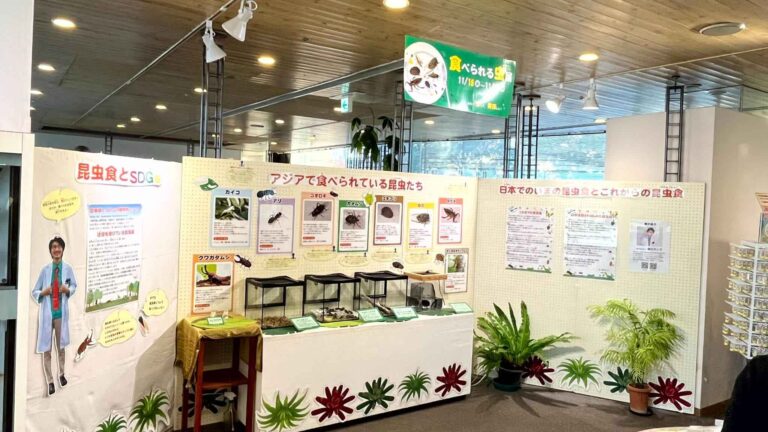 虫を食べる。そしてSDGsを学ぶ。「食べられる虫展」に行ってみた。