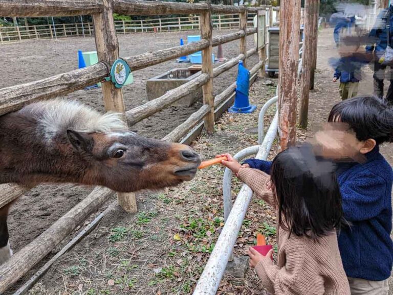 動物とお話も？こどもと一緒に動物体験【智光山公園こども動物園】