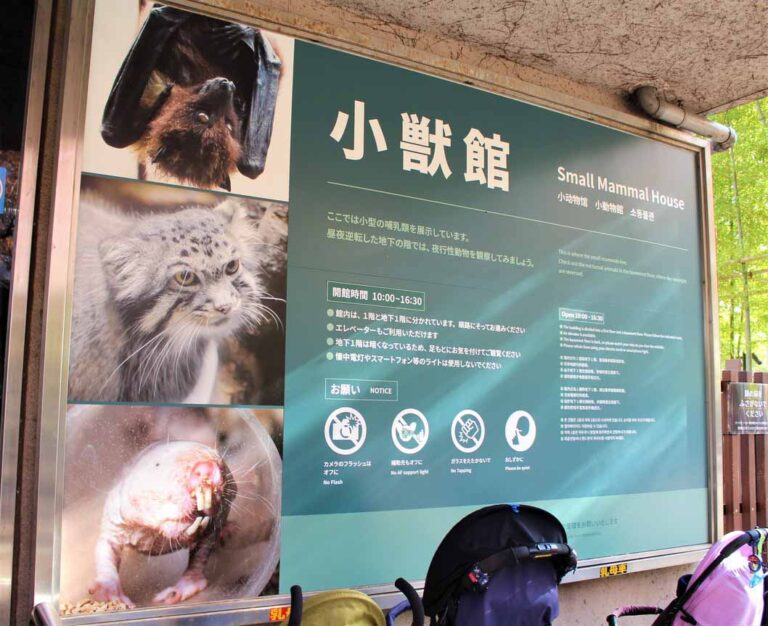 【かわいい】上野動物園の隠れ人気スポット「小獣館」には”老化しないネズミ”や”空飛ぶキツネ”がいる！？