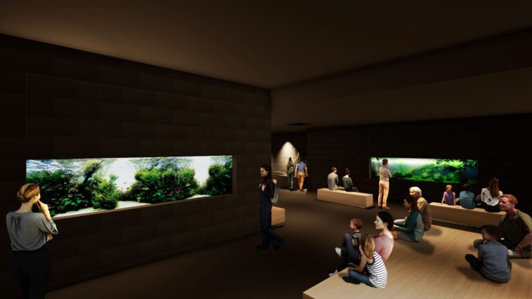 都市型水族館『AOAO SAPPORO』 展示「ネイチャーアクアリウム」導入を決定